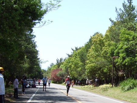 第31回 2016 宮崎シーガイアジョギング・ユニファイド大会
