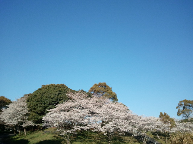 看板犬