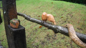 雨なのに・・・