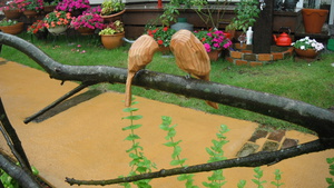 雨なのに・・・