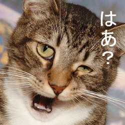 通常運転