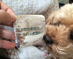 鹿児島といえば 鹿児島といえば