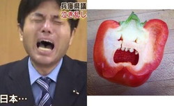 アレと似てる? アレと似てる?