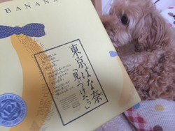 やっぱりプレーンもうまい やっぱりプレーンもうまい