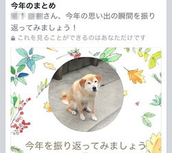 今年のまとめ 今年のまとめ