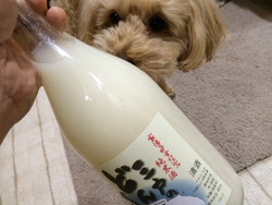 お屠蘇 お屠蘇