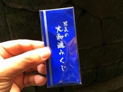 鵜戸神宮 鵜戸神宮