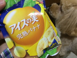 ついに買いました! ついに買いました!