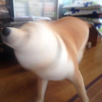 柴ドリル 柴ドリル
