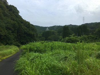 元実家の無事を祈りつつ・・ 元実家の無事を祈りつつ・・