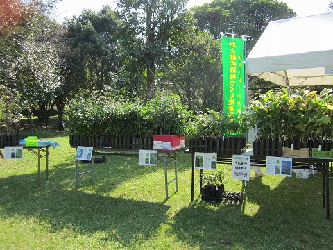 第９回「水と緑の森林づくり」県民ボランティアの集い