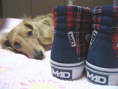 マッドフット