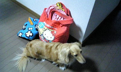 お別れ。。。