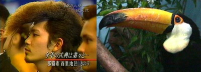 似てる