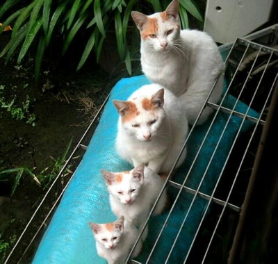 写真に添えて5