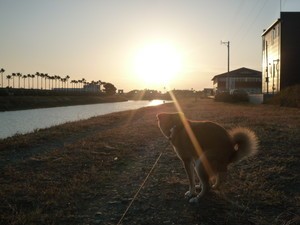 元気です。
