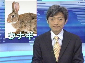 ペットうさぎ