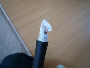 やんちゃものに泣かされて