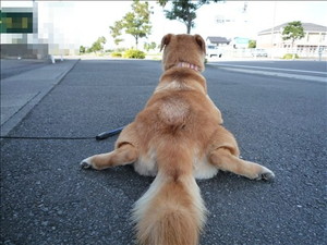 二人の距離