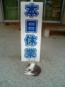 調子が悪い