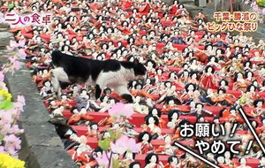 どうでもいい宮崎のこと