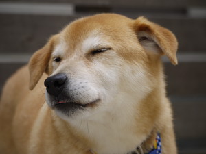 あえるの変顔