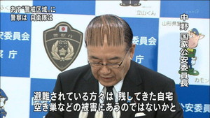 ブラッシング