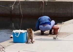 ちょい悪(猫話)