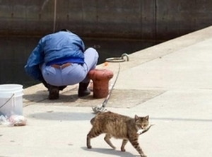ちょい悪(猫話)