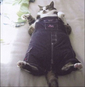 もしかして