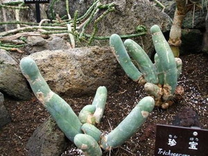 名は体を