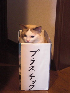 名は体を