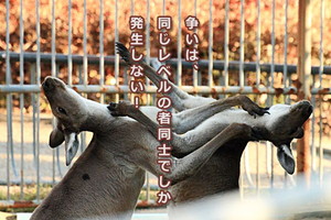 仲裁