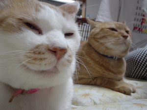 デリカシーのない人