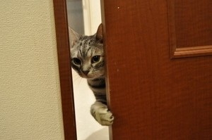 デリカシーのない人
