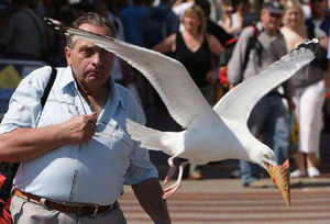 盗人に物申す