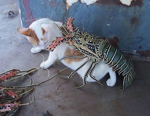 三人寄ればパワー