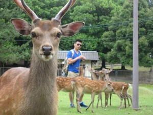 生まれ変わったら