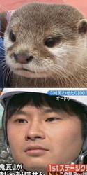 追い込まれてます