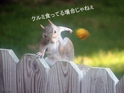 ピラミッドパワー