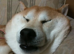 タッチペン