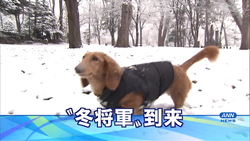 タッチペン