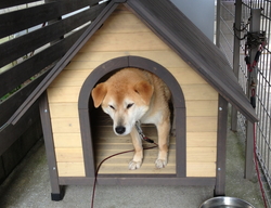 痛さを超えた痛さ