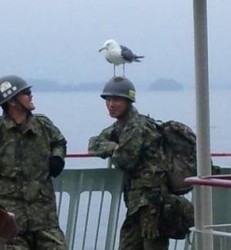 立つ鳥跡を濁さず