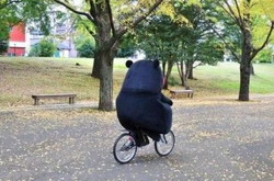 勝手な思い込み