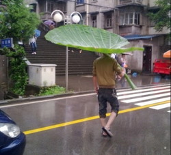 ノープラン