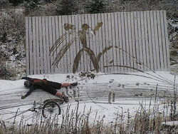 アイルトン・セナ