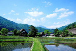 夏は切ない