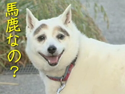 見えてないだけ