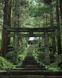 神社を探してます